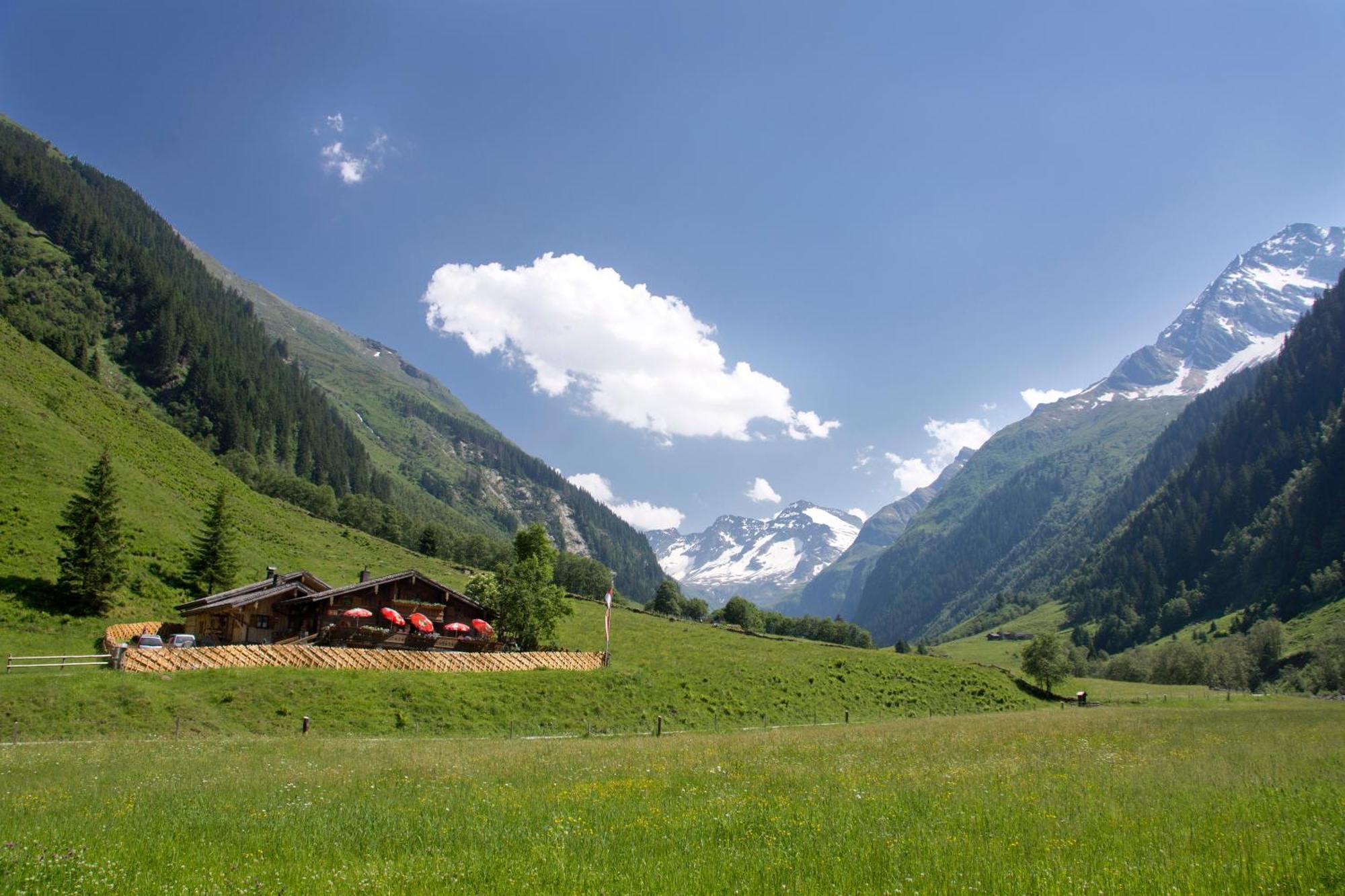 Senninger Alm Bed & Breakfast Hollersbach im Pinzgau Exterior foto