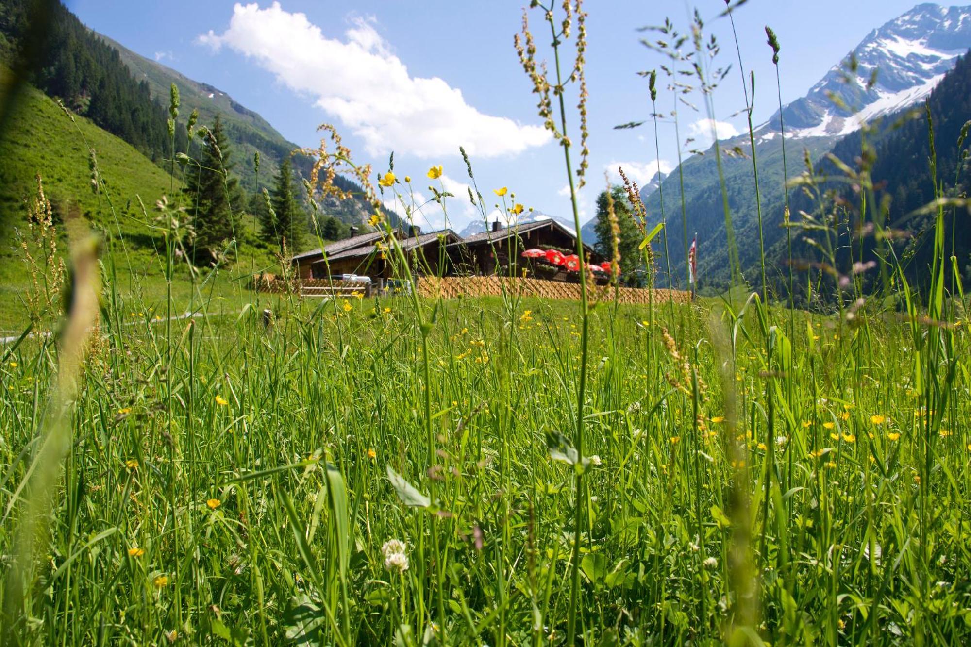Senninger Alm Bed & Breakfast Hollersbach im Pinzgau Exterior foto